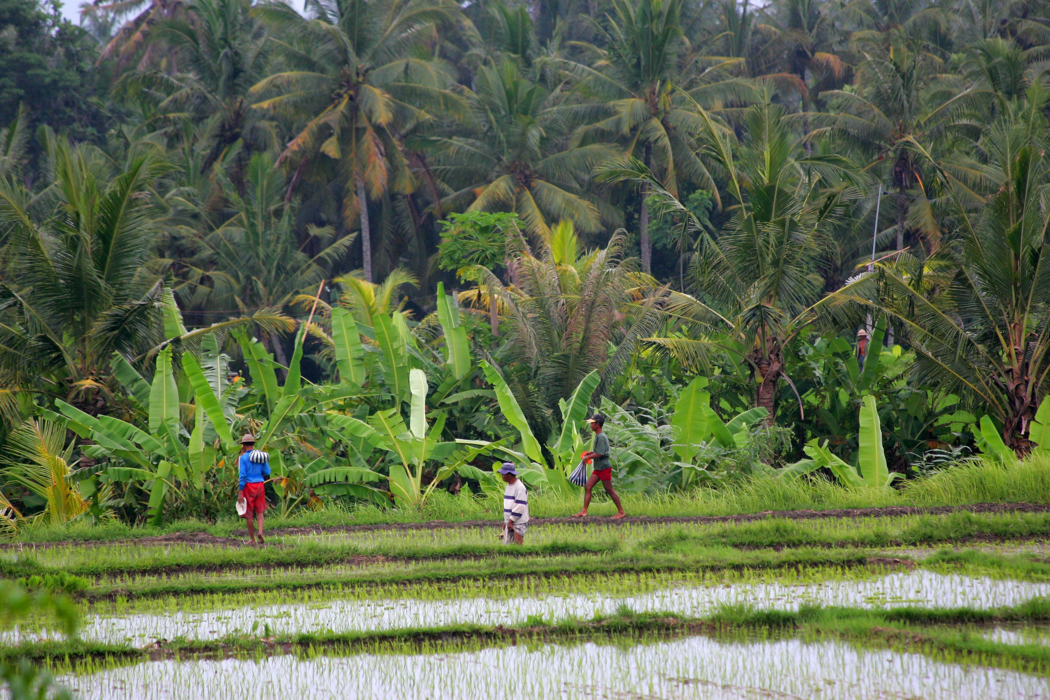 Taman Harum Hotel Ubud Exterior foto